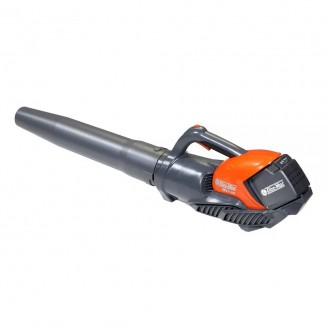 Воздуходувка аккумуляторная Oleo-Mac BVI 60, 40V (без аккумулятора и зарядного устройства) Воздуходувка аккумуляторная Oleo-Mac BVI 60, 40V (без аккумулятора и зарядного устройства)