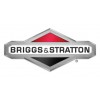 Briggs&Stration